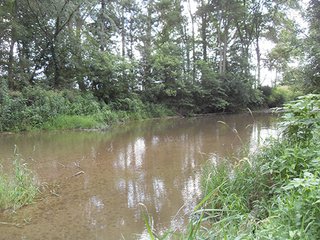 Property photo 2 - 317 +/- Acres offered in 8 Tracts Land Auction